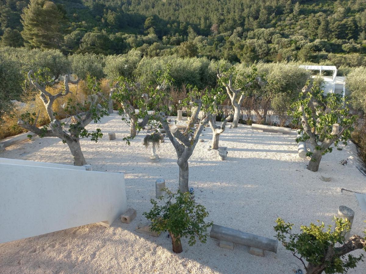 Hmo Glamping & In Vignanotica Mattinata
