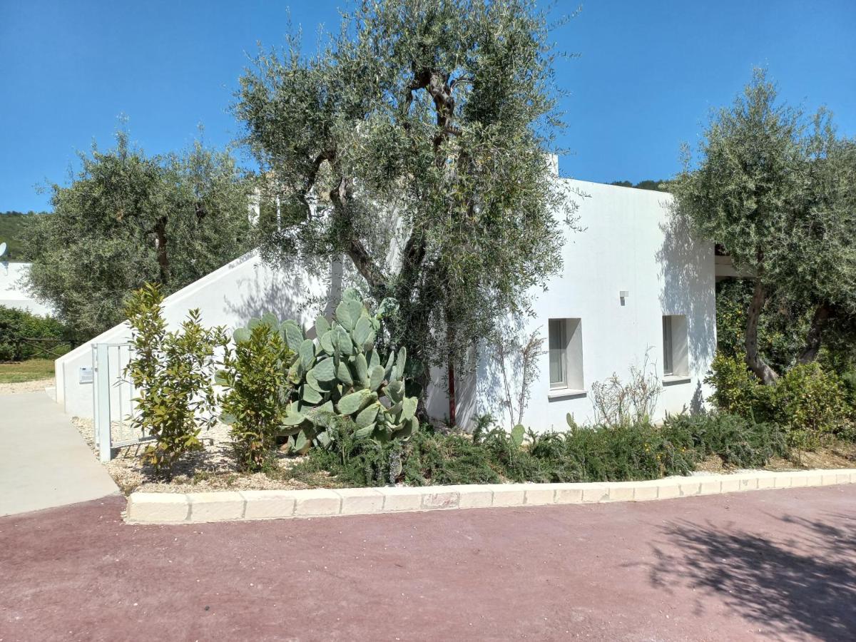 Resort Hmo Glamping & In Vignanotica *