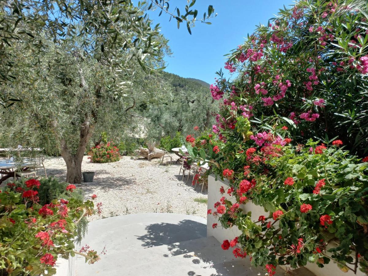 Hmo Glamping & In Vignanotica Resort *