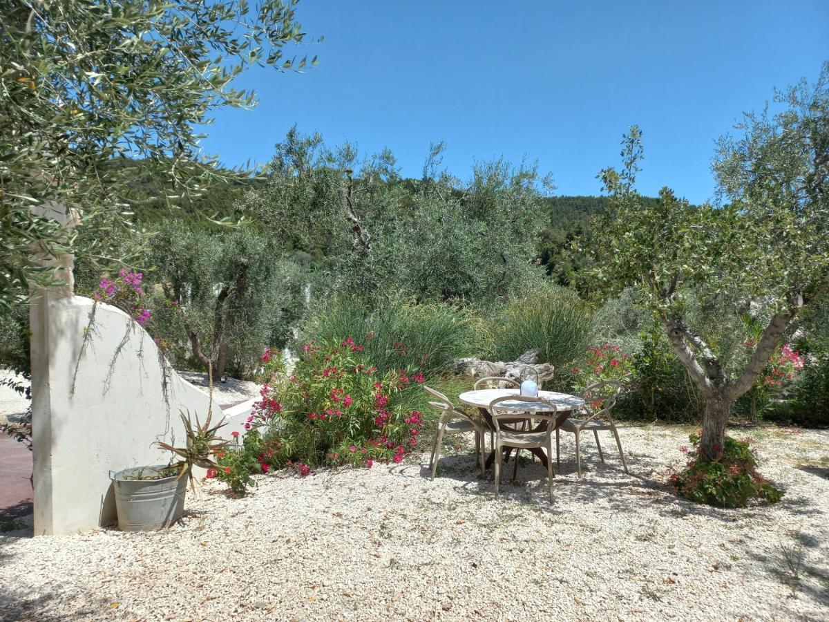 Hmo Glamping & In Vignanotica