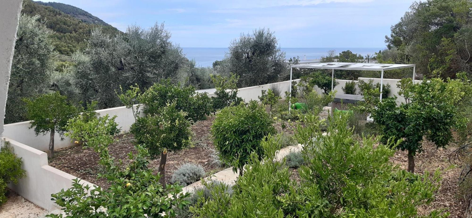 Hmo Glamping & In Vignanotica