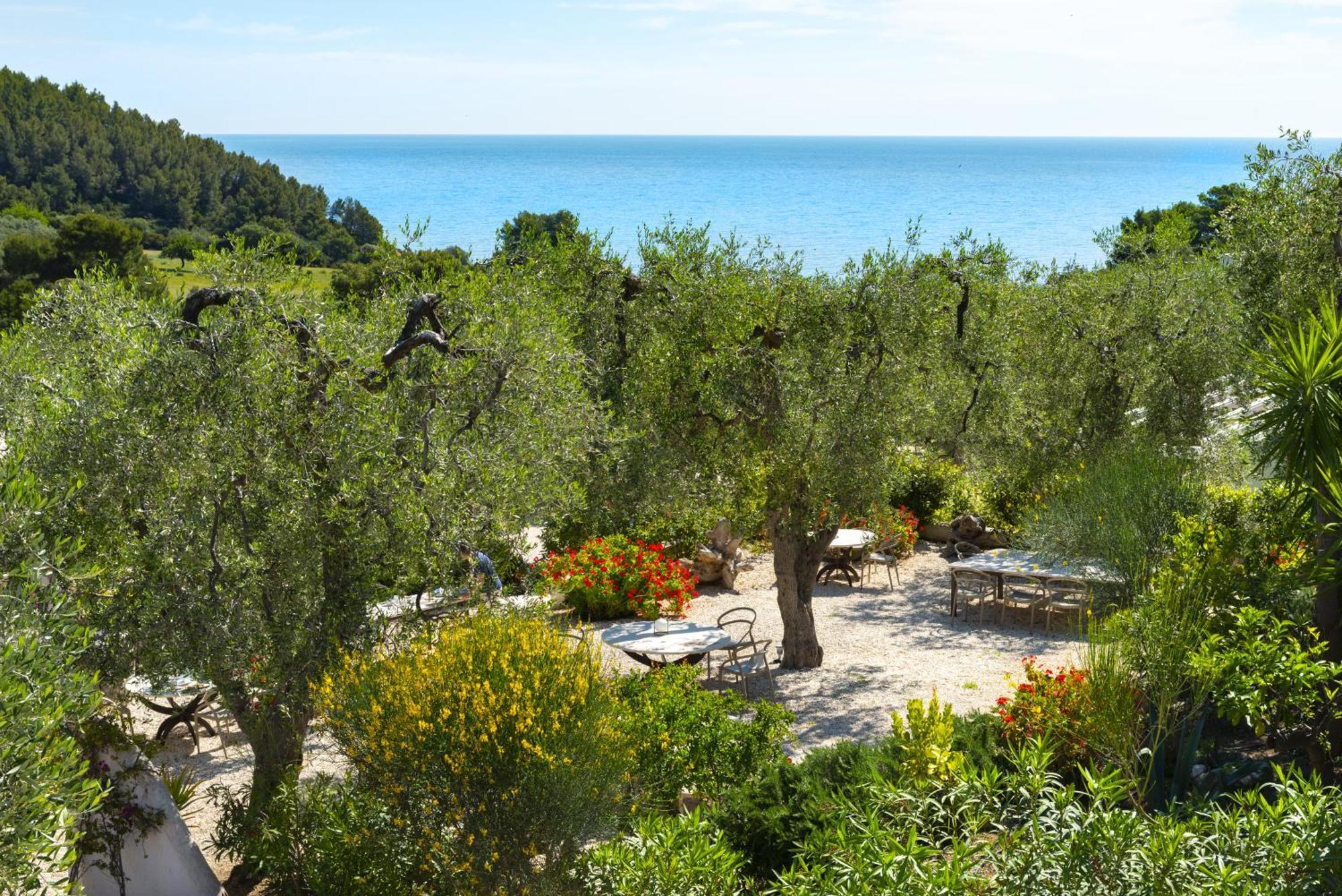Hmo Glamping & In Vignanotica Resort
