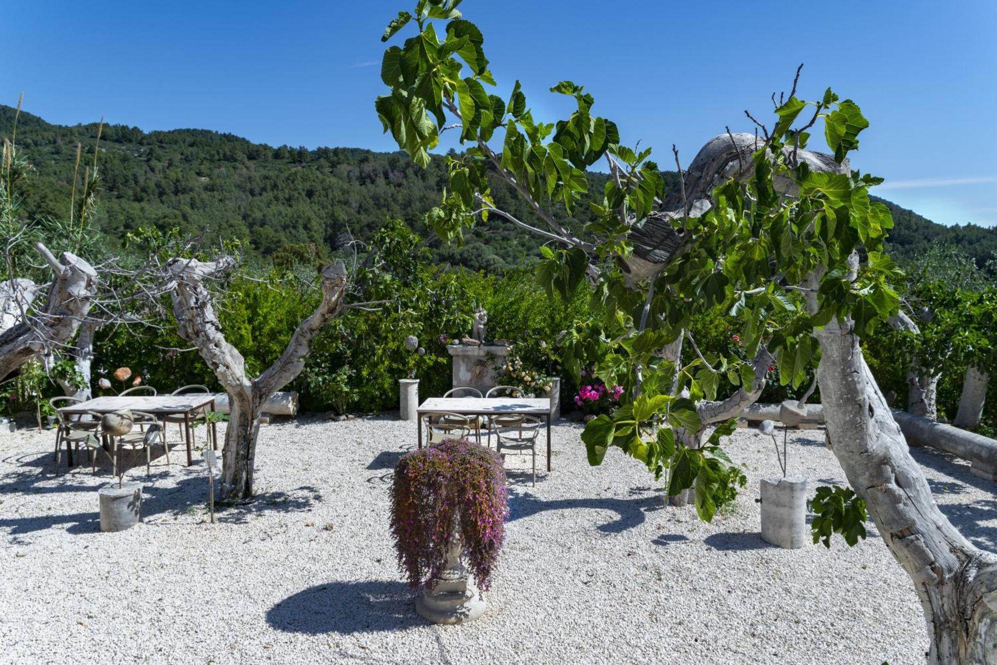 Hmo Glamping & In Vignanotica Resort *
