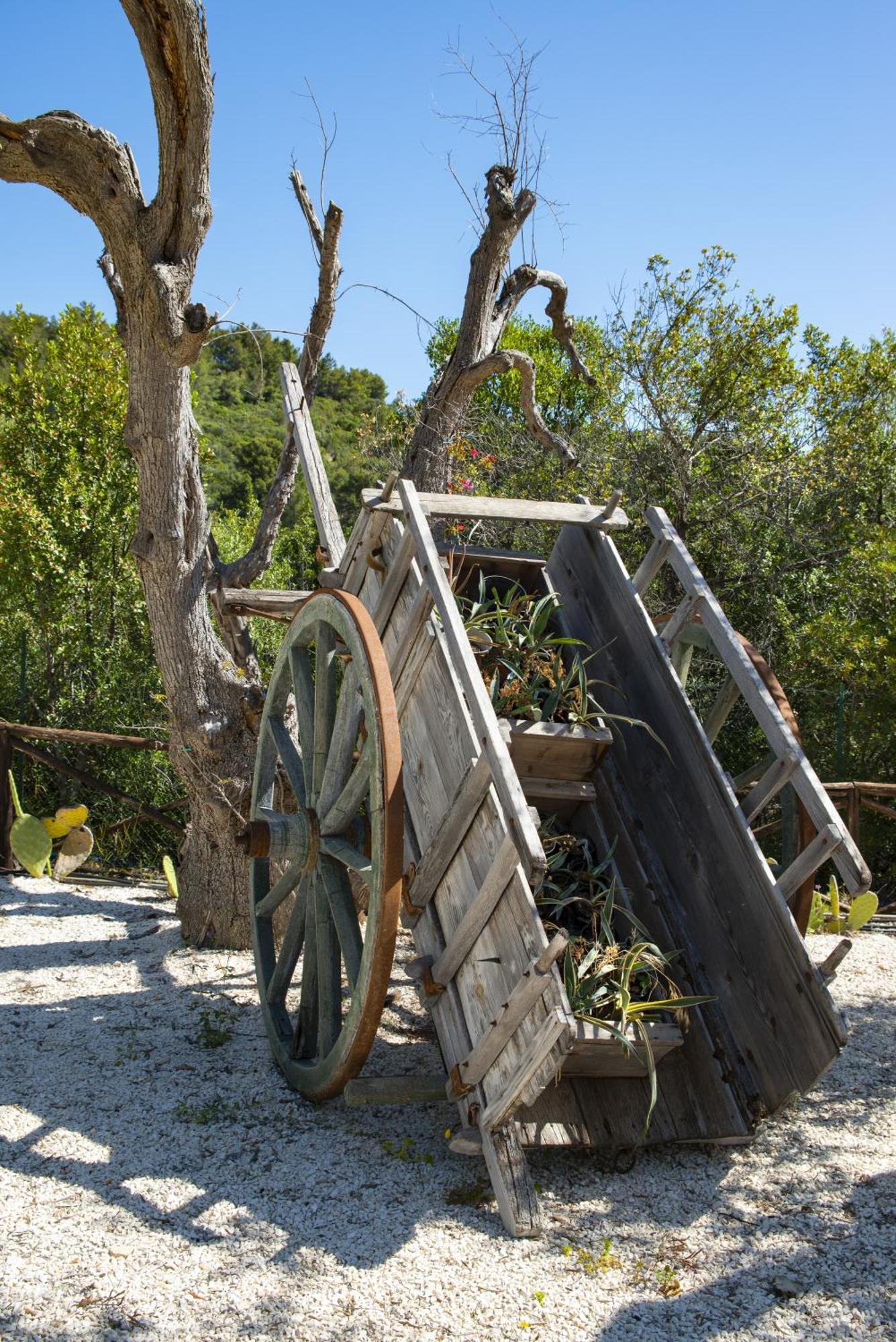 Hmo Glamping & In Vignanotica * Mattinata